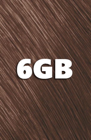 Goldwell Topchic Tube dunkelblond goldbraun 6GB 60ml
