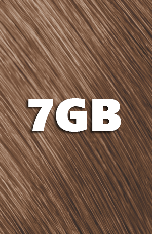 Goldwell Topchic Tube saharablond beige 7GB 60ml